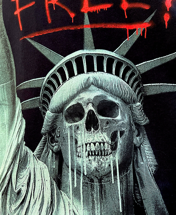 land of the free liberty skull closeup