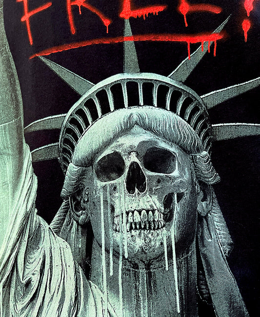 land of the free liberty skull closeup